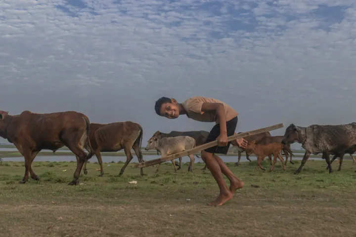 A smiling barefoot boy holds a long stick beside a herd of cows.