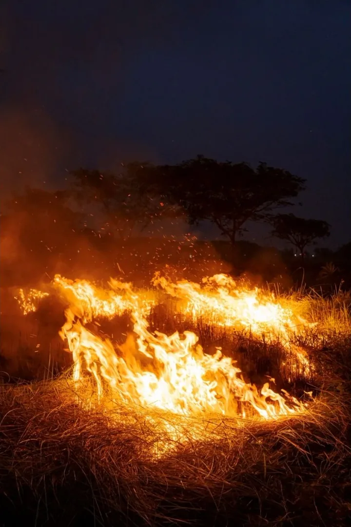 Orange flames and sparks rise through dry grass at dusk.
