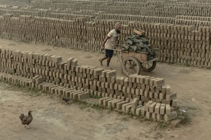 A worker pulls a loaded cart through a brickfield while a chicken walks in the foreground.