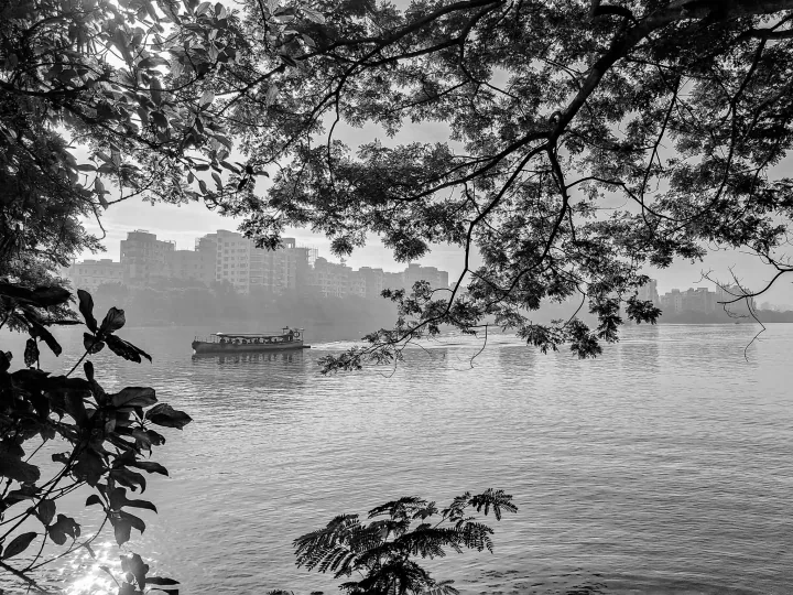 A small passenger boat crosses a river framed by overhanging branches and leaves.